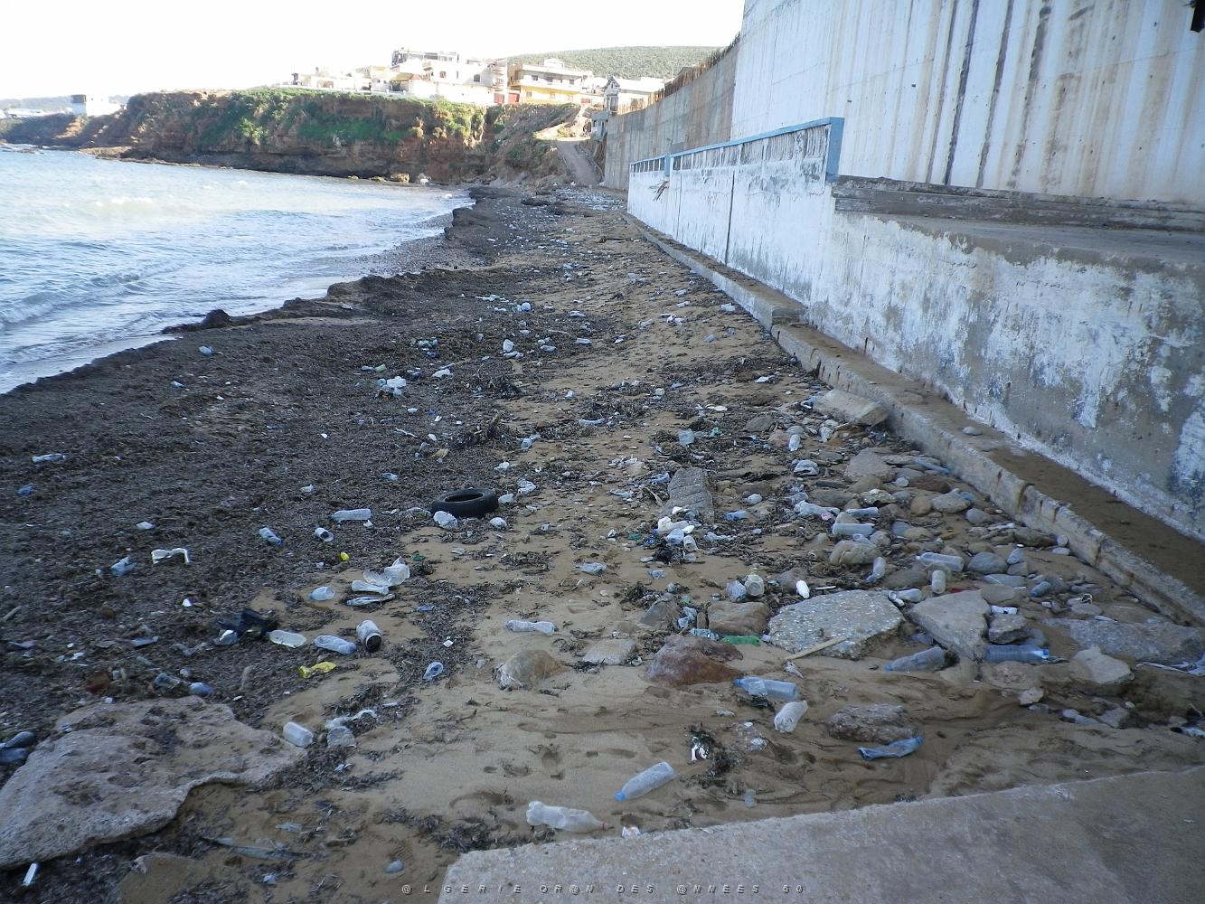1392 la plage .JPG
